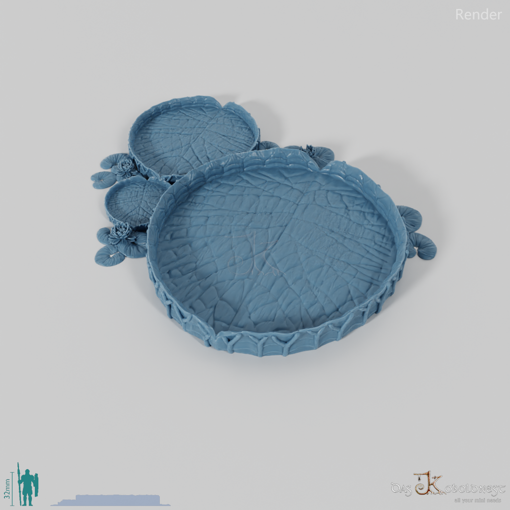 Gigantisches Seerosenblatt 01