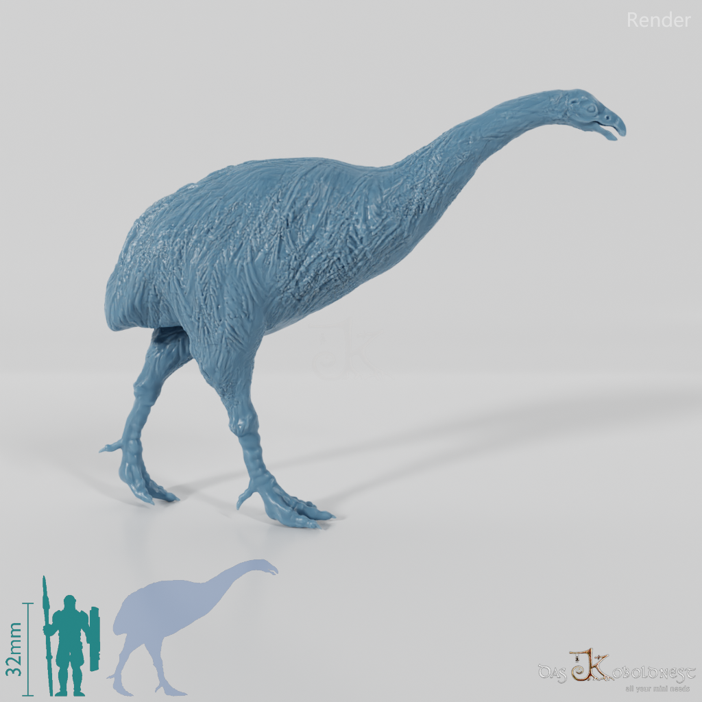 Dinornis novazaelandiae 01 (Weibchen) - JJP