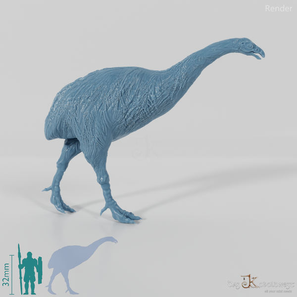 Dinornis novazaelandiae 01 (Weibchen) - JJP