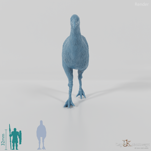 Dinornis novazaelandiae 01 (Weibchen) - JJP