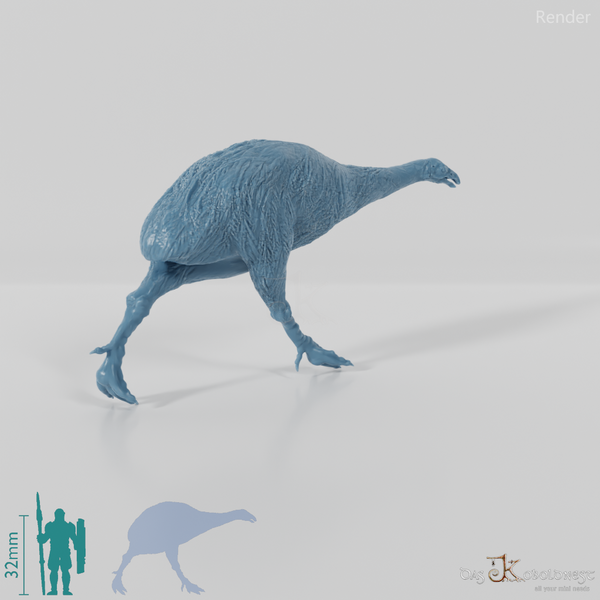 Dinornis novazaelandiae 02 (Weibchen) - JJP