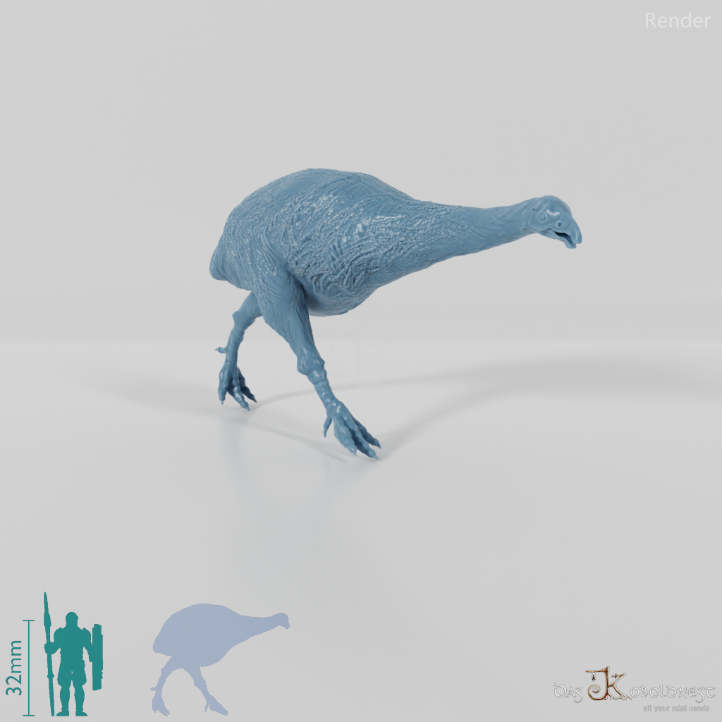 Dinornis novazaelandiae 02 (Weibchen) - JJP