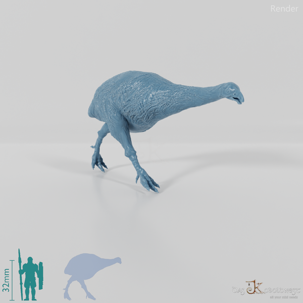 Dinornis novazaelandiae 02 (Weibchen) - JJP