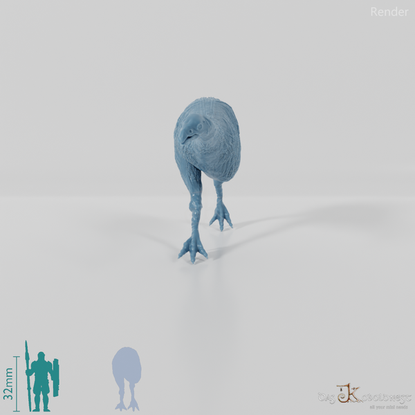 Dinornis novazaelandiae 02 (Weibchen) - JJP