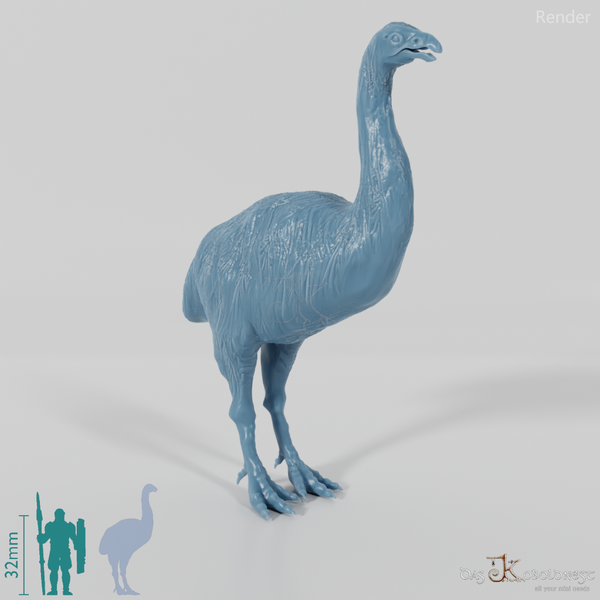 Dinornis novazaelandiae 03 (Männchen) - JJP
