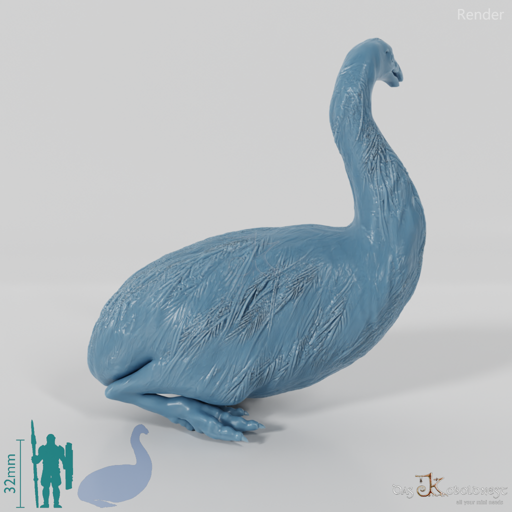 Dinornis novazaelandiae 05 (Weibchen) - JJP