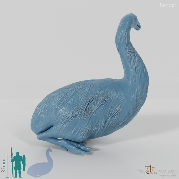 Dinornis novazaelandiae 05 (Weibchen) - JJP