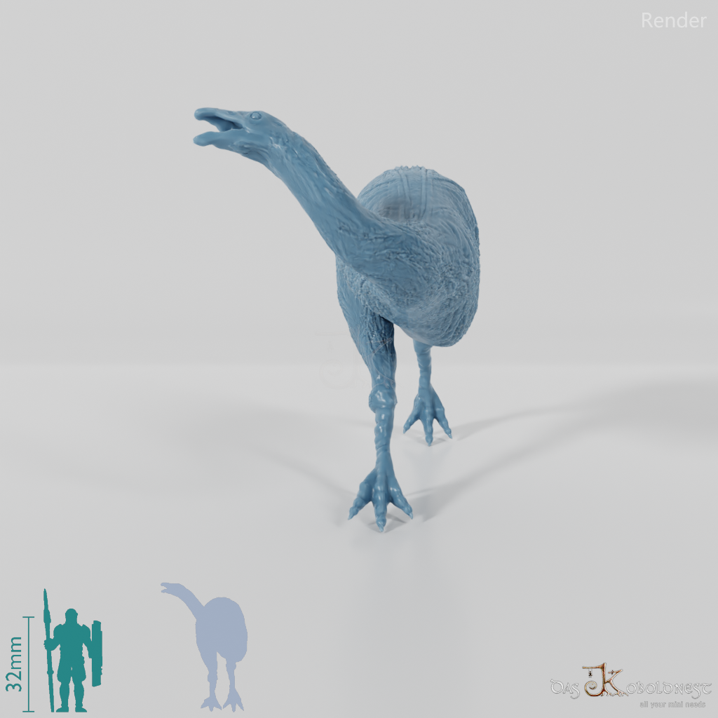 Dinornis novazaelandiae 08 (Weibchen) - JJP