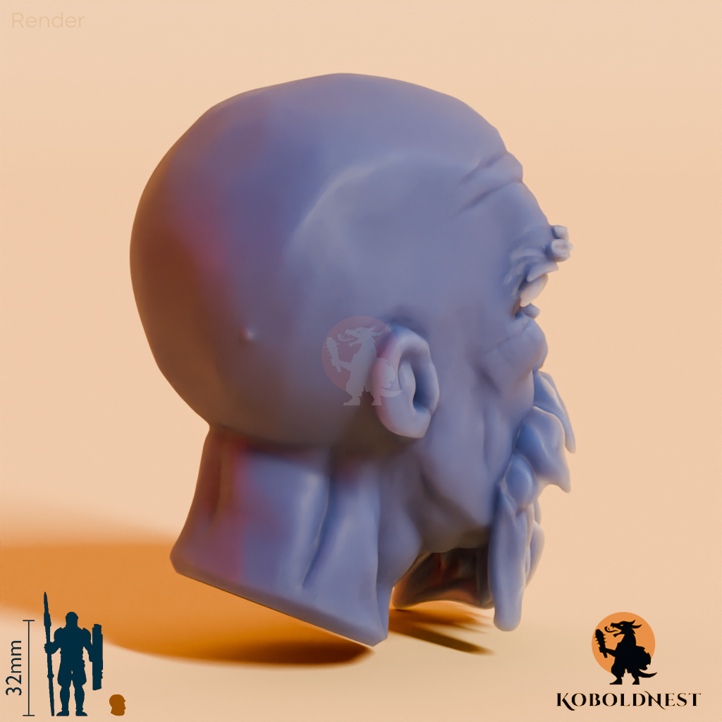 Männerkopf - 5