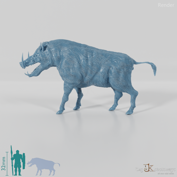 Metridiochoerus jacksoni 01 - JJP