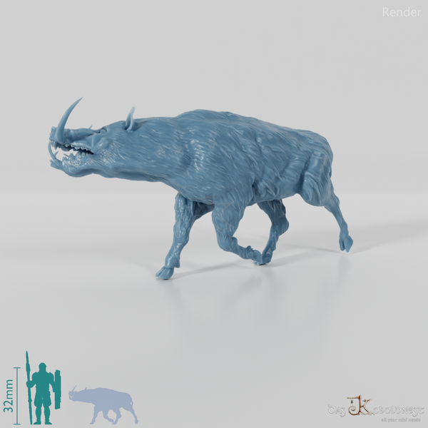 Metridiochoerus jacksoni 03 - JJP