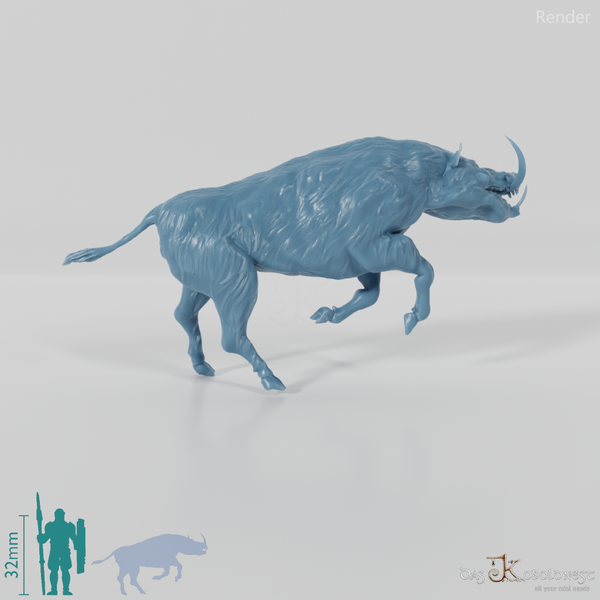 Metridiochoerus jacksoni 04 - JJP