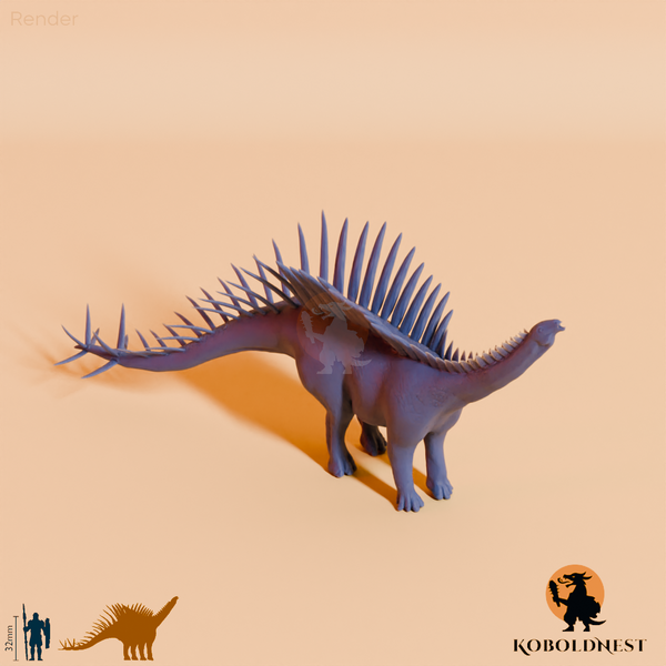 Miragaia longicollum 03 - JJP