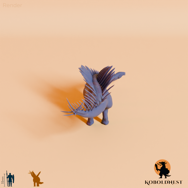Miragaia longicollum 04 - JJP