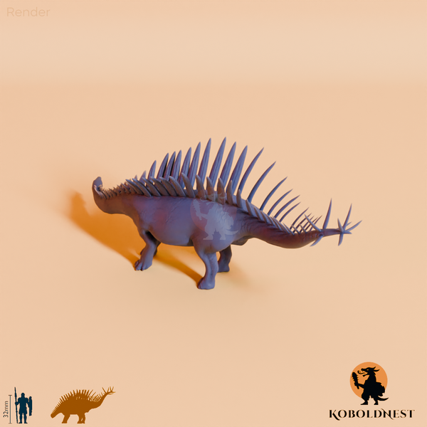 Miragaia longicollum 04 - JJP