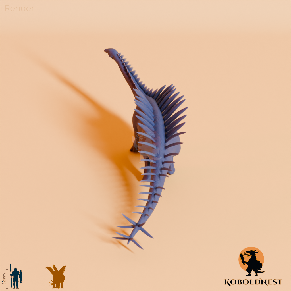Miragaia longicollum 05 - JJP