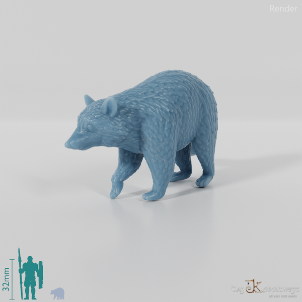 Waschbär - Waschbär 02