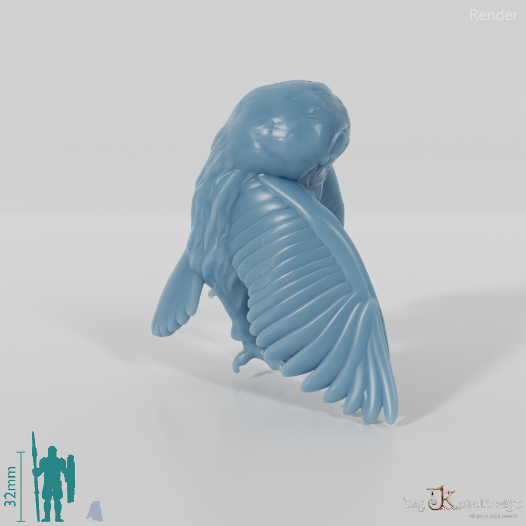 Eule - Schleiereule 01