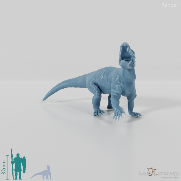 Pampaphoneus biccai 06 - JJP