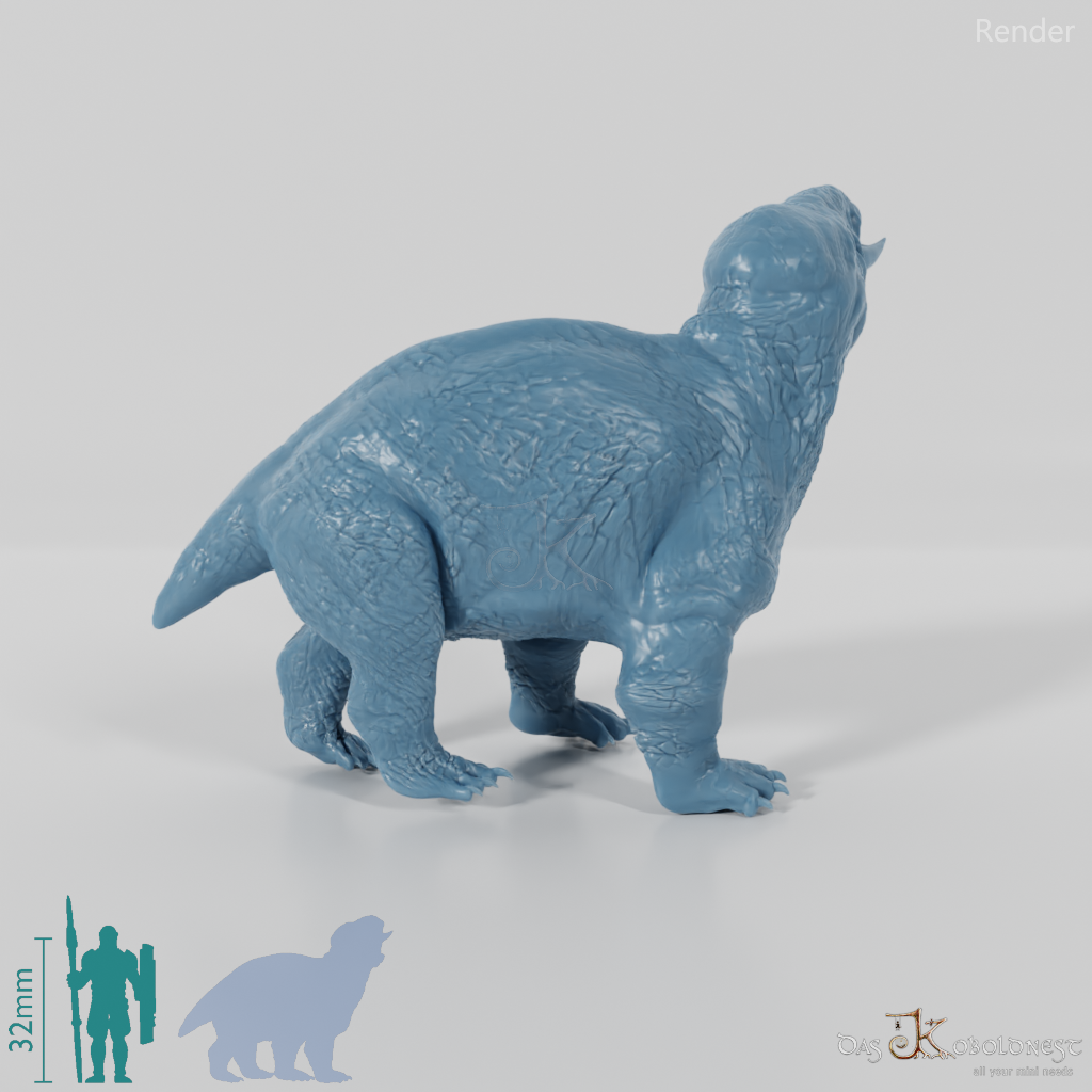 Placerias hesternus 04 - JJP