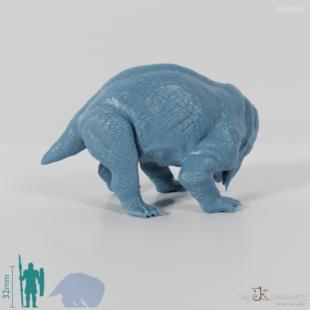 Placerias hesternus 05 - JJP