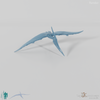 Pteranodon longiceps 06 - JJP