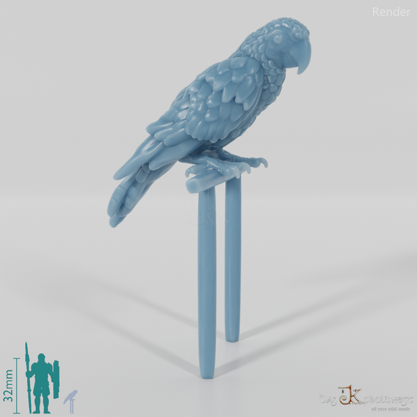 Papagei - Papagei 02 mit Sitzstange