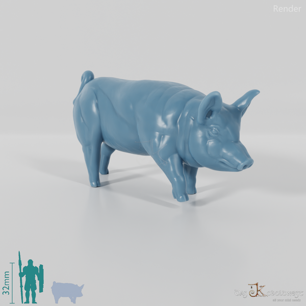 Hausschwein - Schwein 03