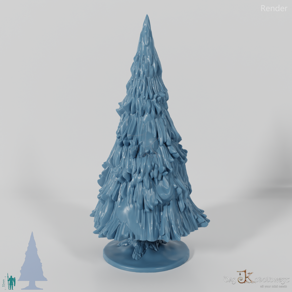 Verschneite große Tanne B