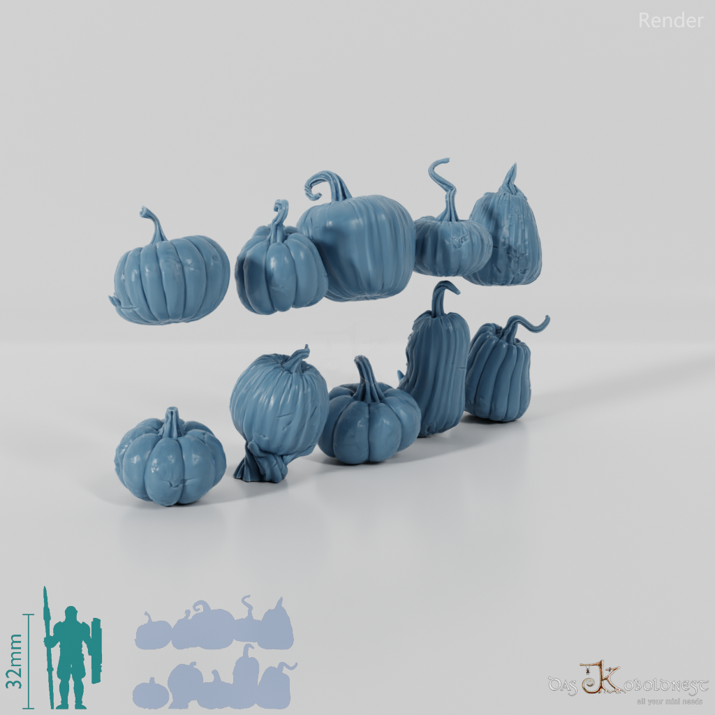 Kürbislinge - Komplettset