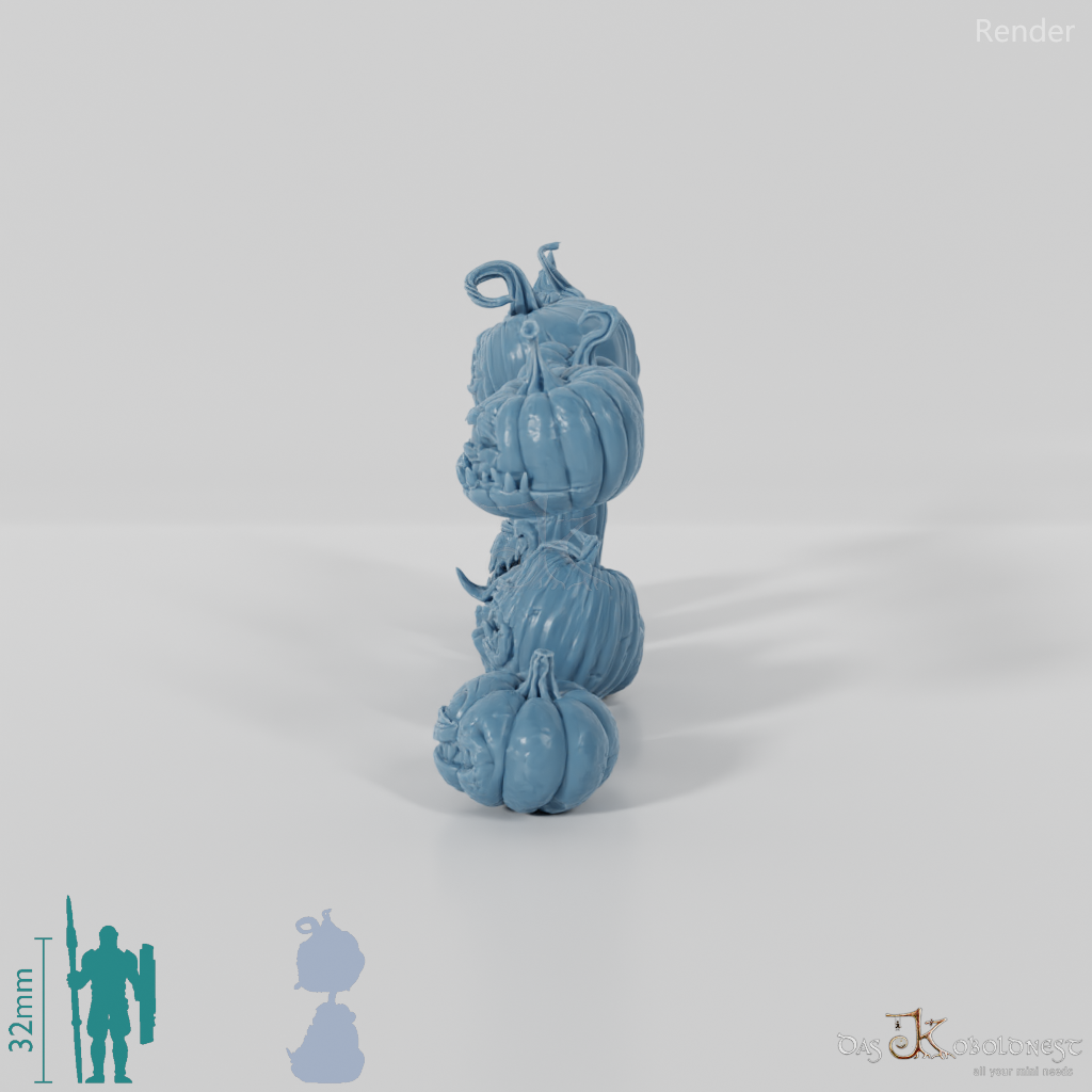 Kürbislinge - Komplettset