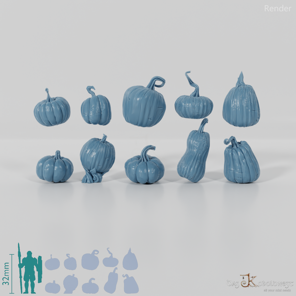 Herbstkürbisse - Komplettset