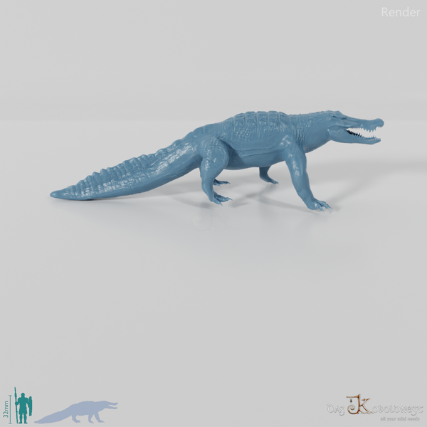 Quinkana fortirostrum 02 - JJP