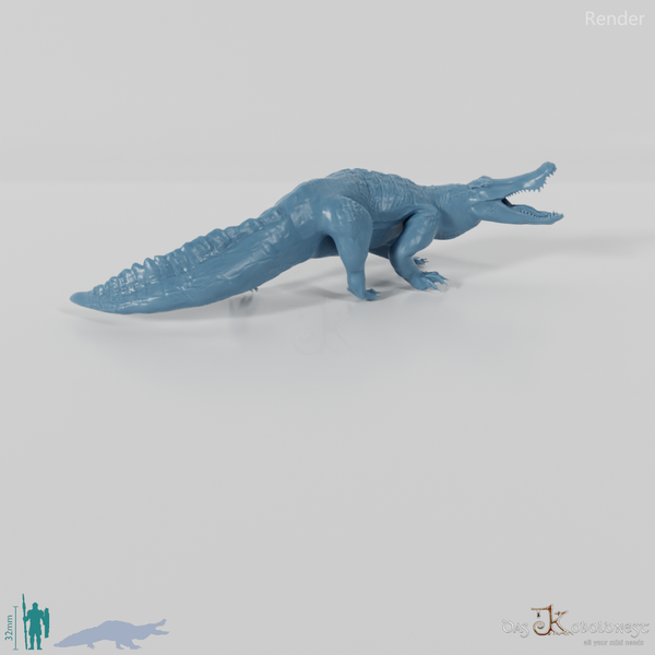 Quinkana fortirostrum 03 - JJP