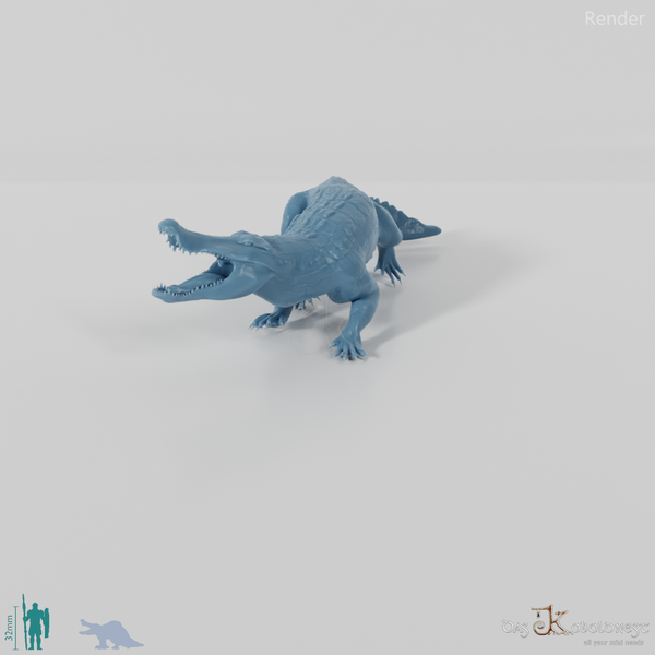 Quinkana fortirostrum 03 - JJP