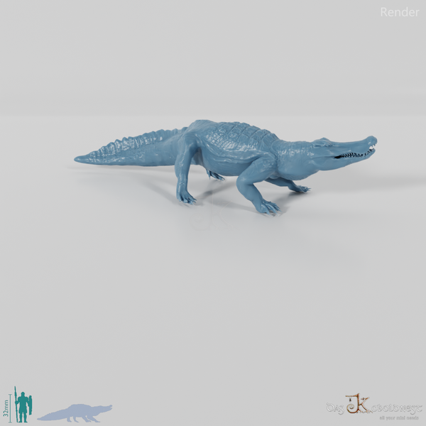 Quinkana fortirostrum 04 - JJP