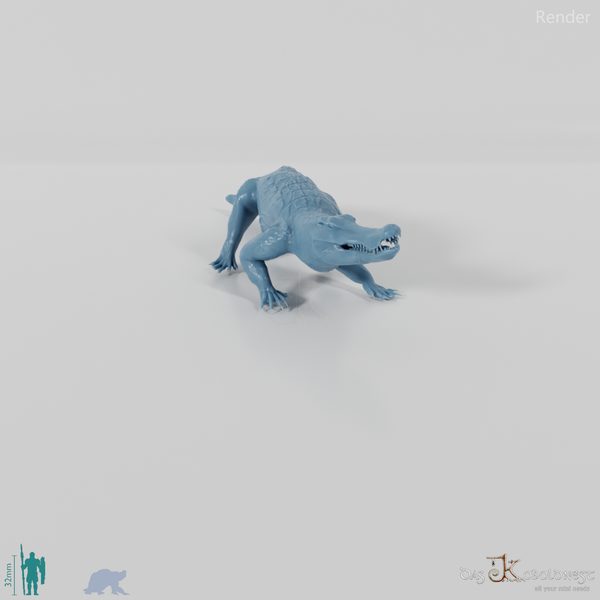 Quinkana fortirostrum 04 - JJP