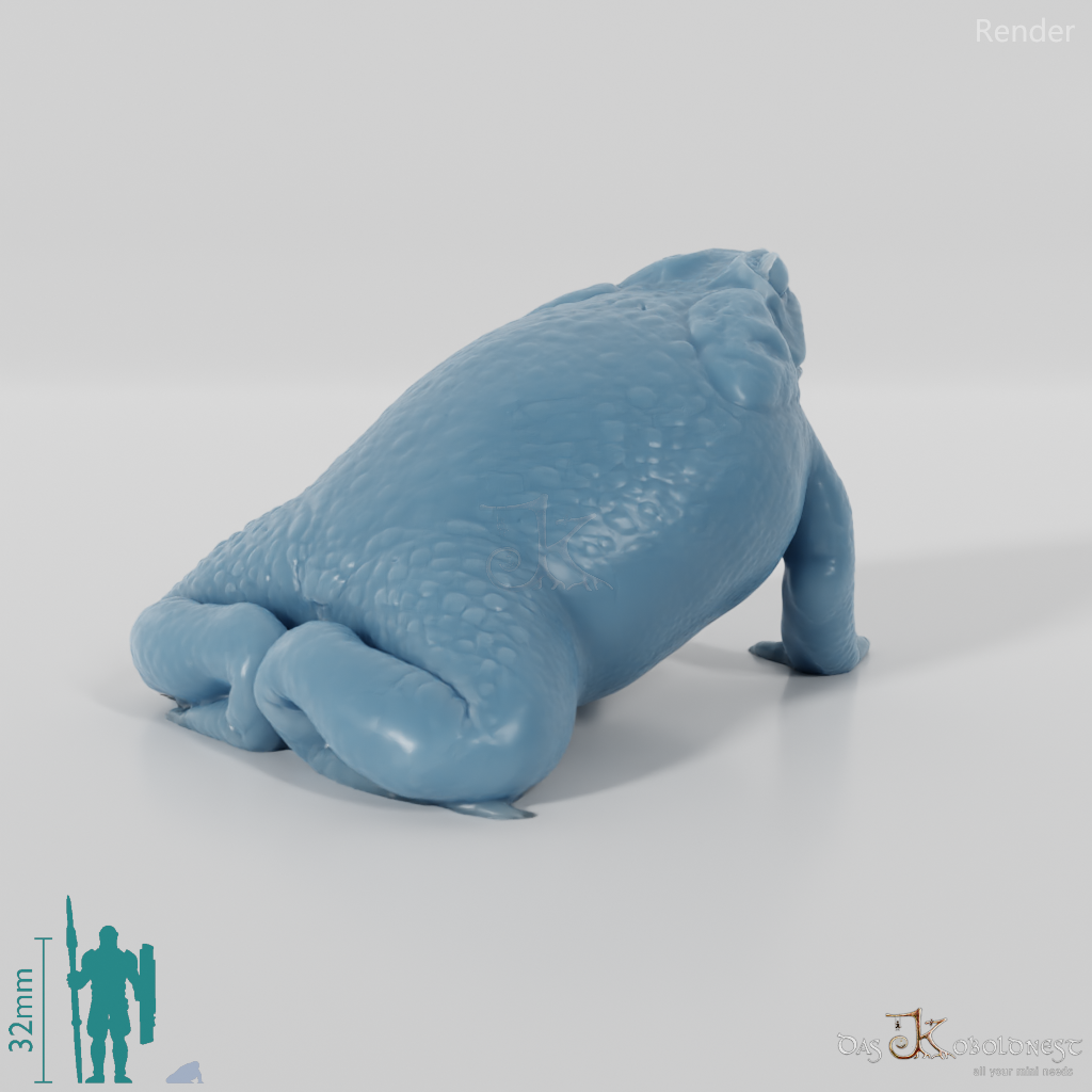 Kröte - Rhinella marina (Aga-Kröte) 01