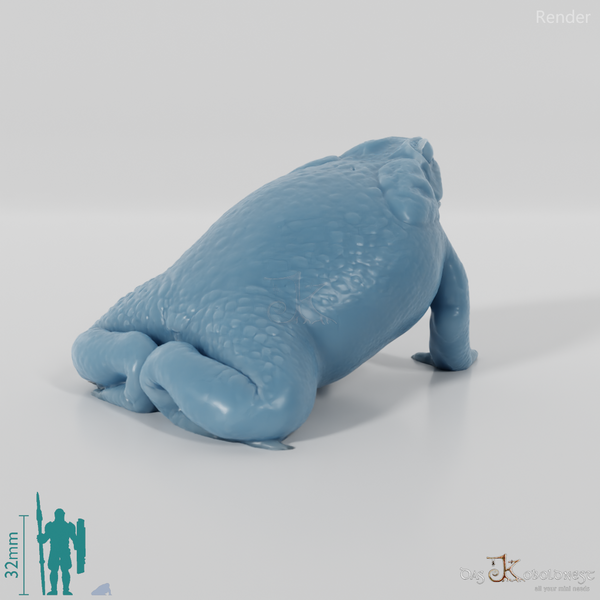 Kröte - Rhinella marina (Aga-Kröte) 01