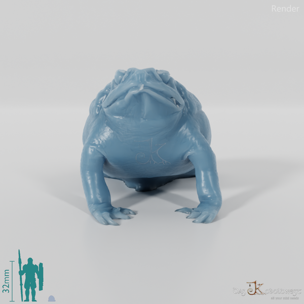 Kröte - Rhinella marina (Aga-Kröte) 01