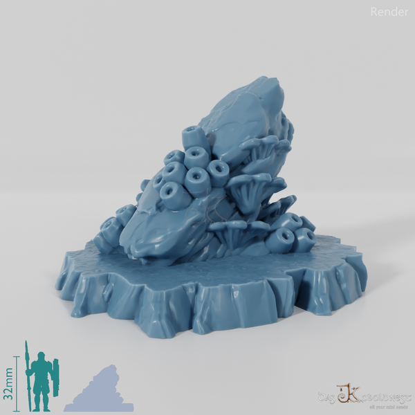 Korallenbewachsene Felsen