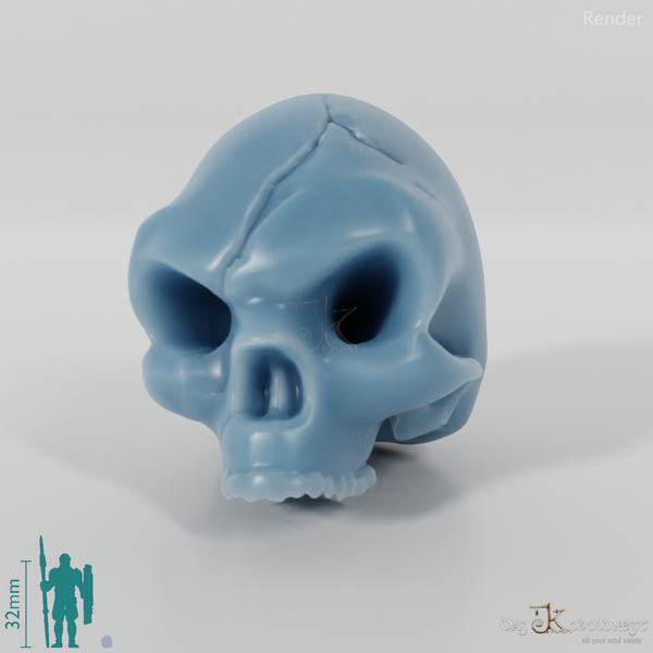 Schädel - Menschenschädel