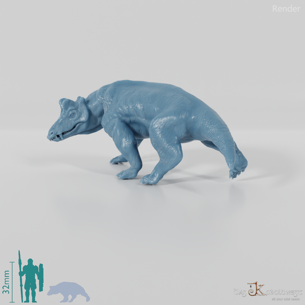 Styracocephalus platyrhynchus 04 - JJP