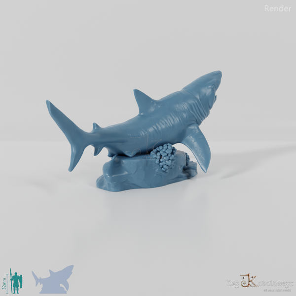 Hai - Weißer Hai 01