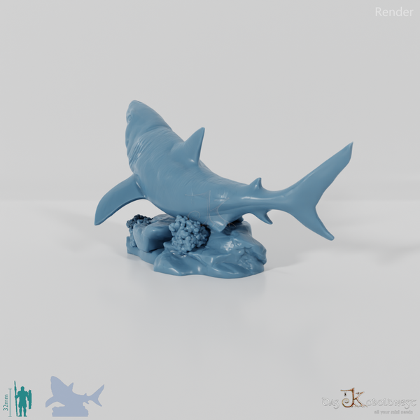 Hai - Weißer Hai 01