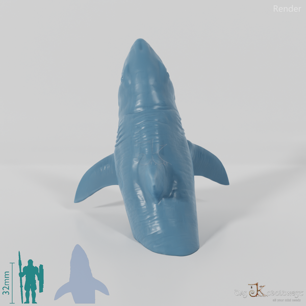 Hai - Weißer Hai 02