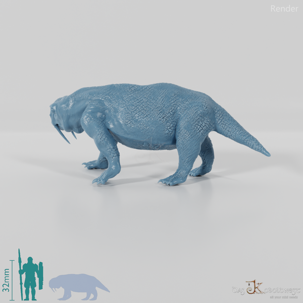 Tiarajudens eccentricus 02 - JJP