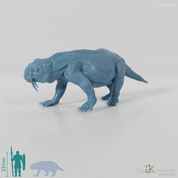 Tiarajudens eccentricus 02 - JJP