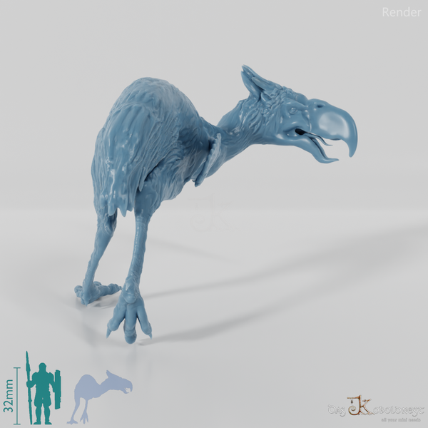 Titanis walleri 06 - JJP