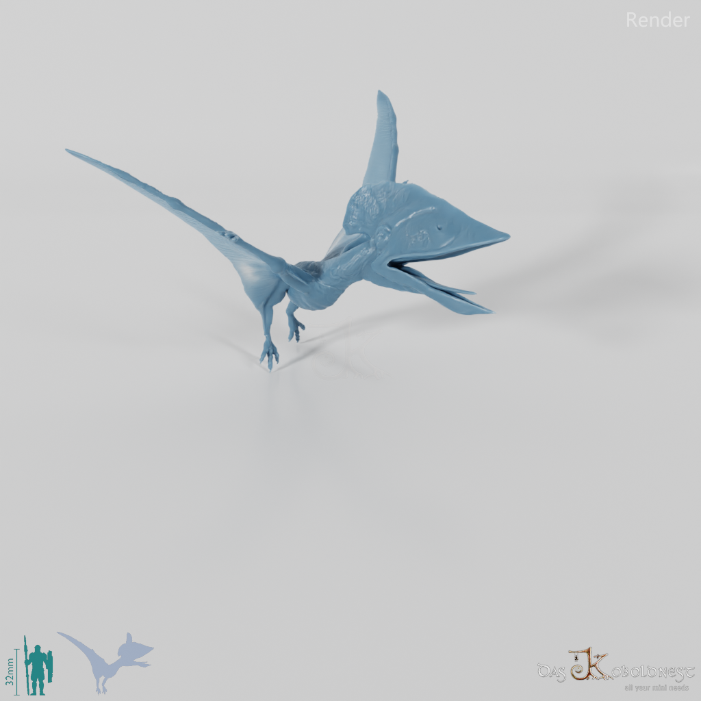 Tupuxuara longicristatus 04 - JJP